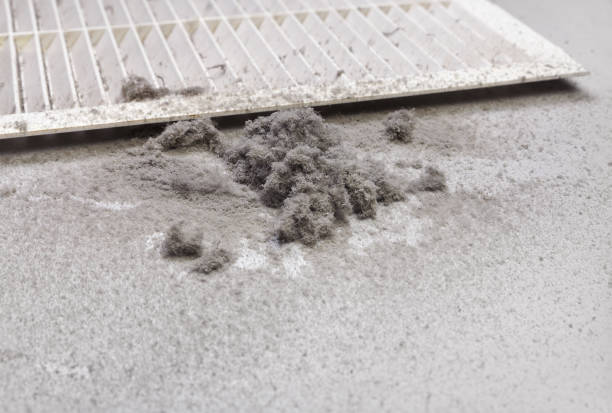 Best HVAC Air Duct Cleaning  in Pasadena Hills, FL