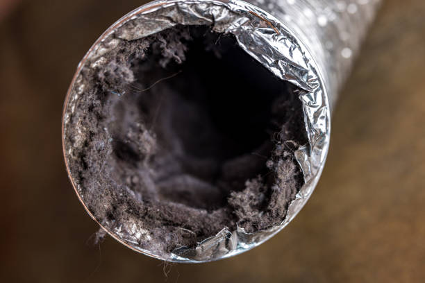 HVAC System Cleaning in FL